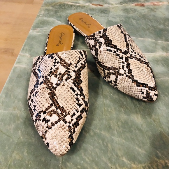 Qupid Snakeskin Slide - Picture 1 of 5